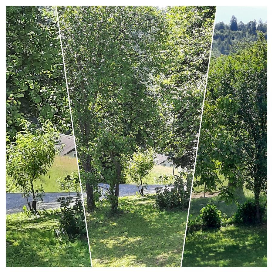 Holiday Home Neokrnjena Narava Sevnica Kültér fotó