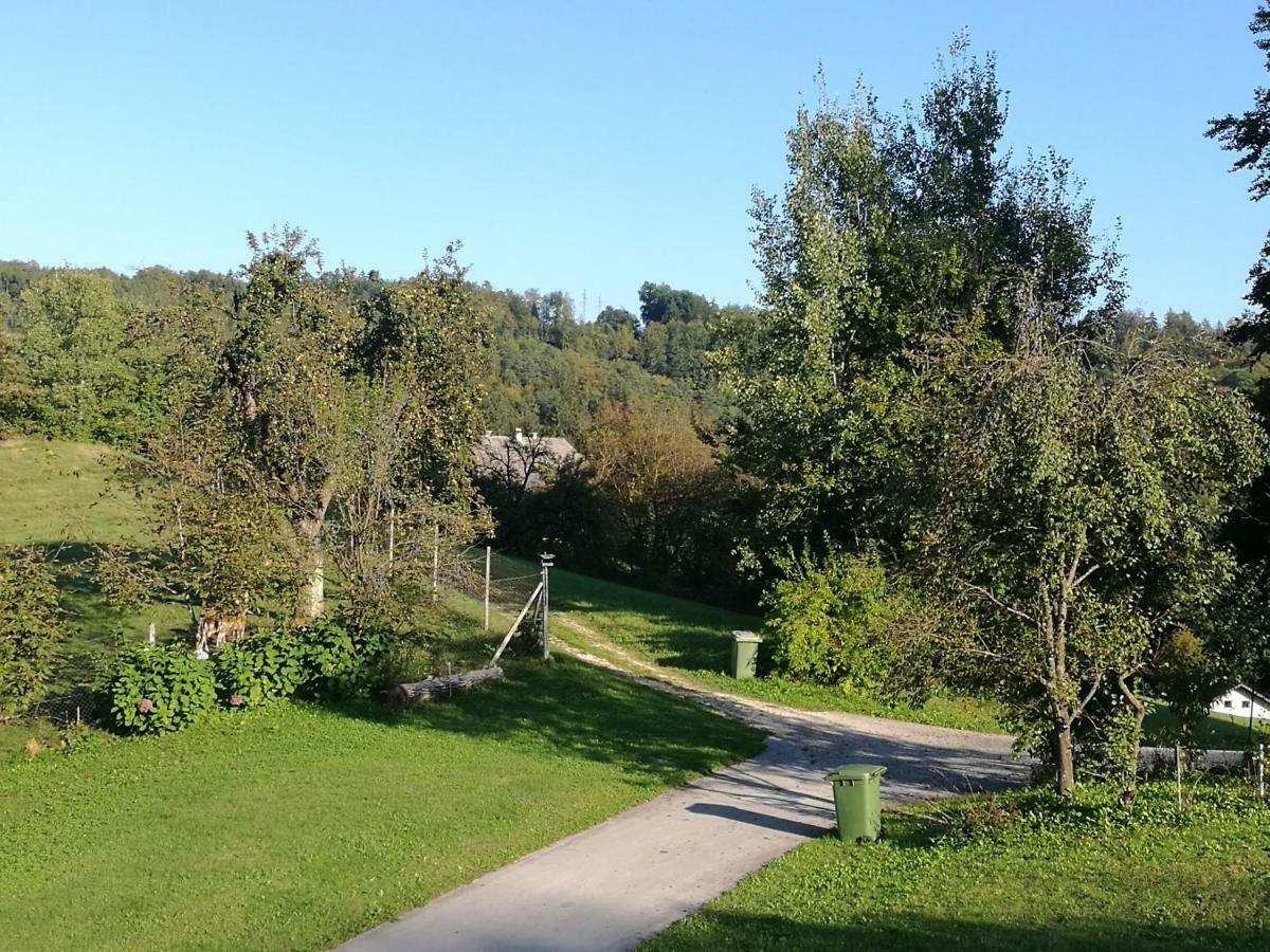 Holiday Home Neokrnjena Narava Sevnica Kültér fotó